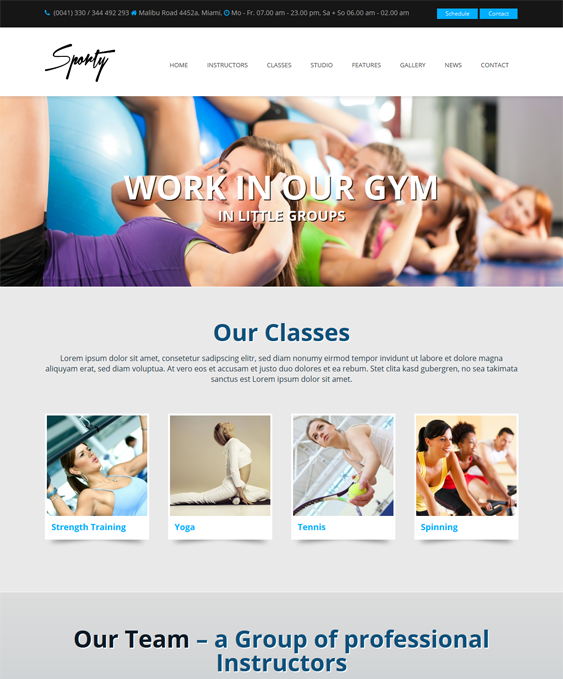 sporty gym fitness wordpress theme