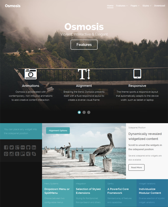 osmosis parallax wordpress theme