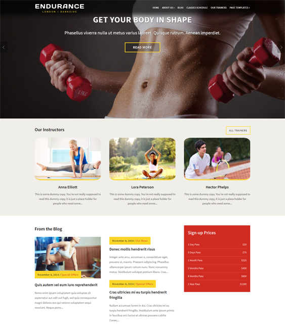 endurance gym fitness wordpress theme