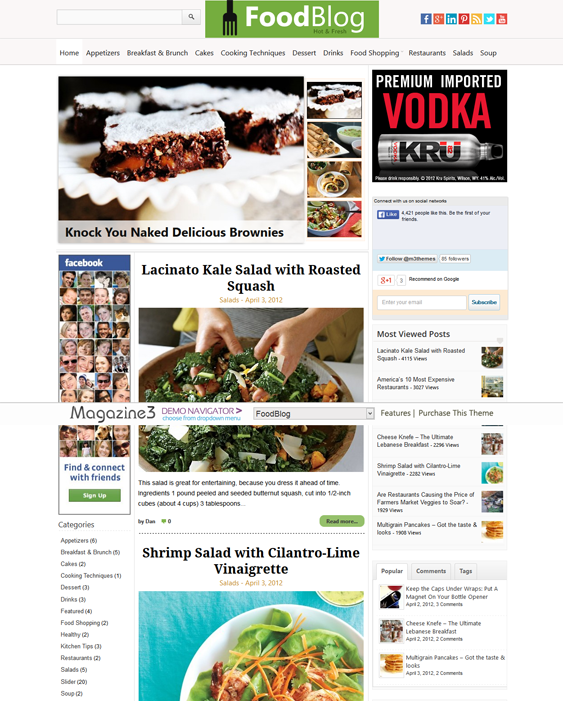 foodblog food recipe wordpress theme