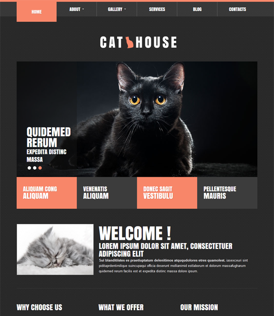 cat charity nonprofit joomla templates