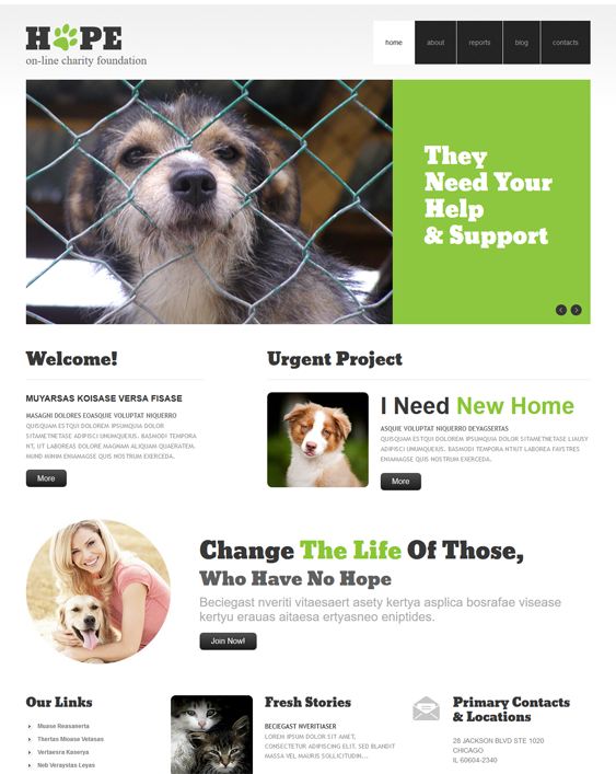 clear pets vets wordpress themes