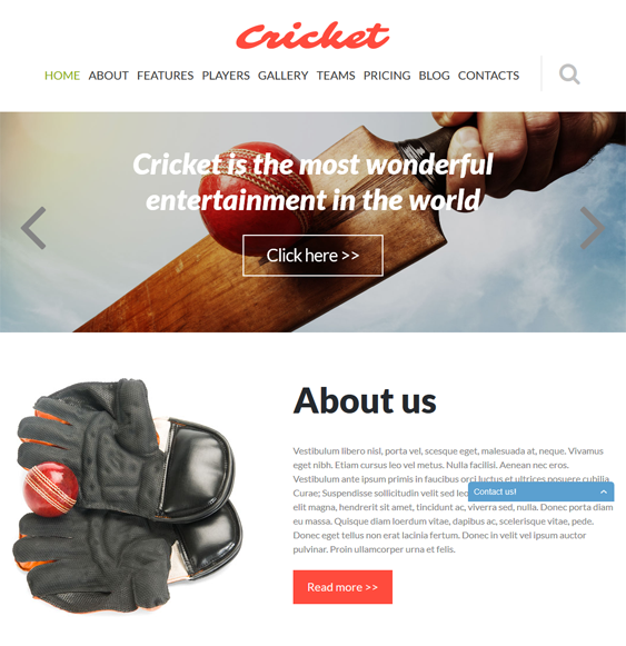 cricket sport joomla templates