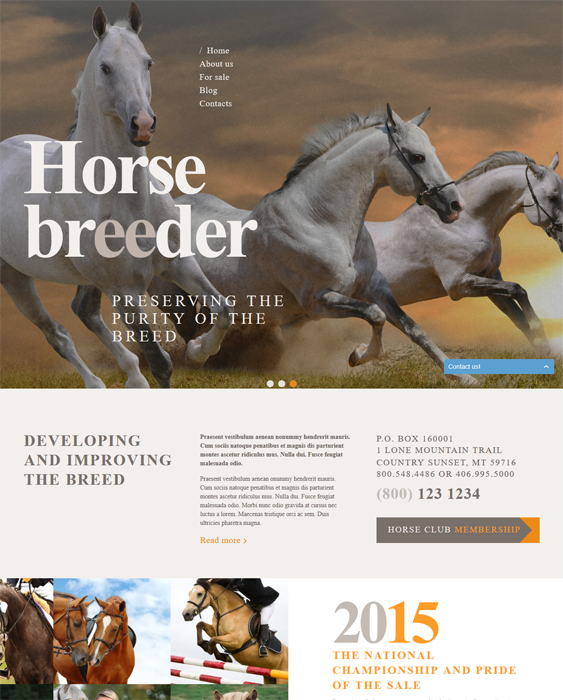 horse breeder pets vets wordpress themes
