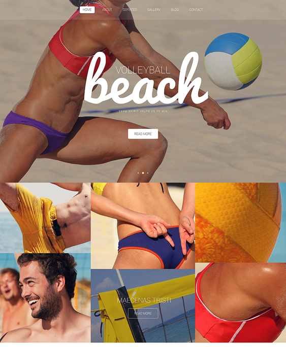 beach sports wordpress themes
