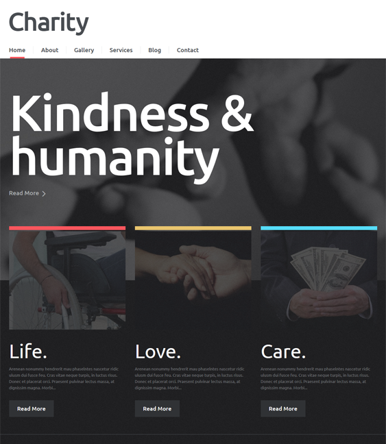 nonprofit charity wordpress theme
