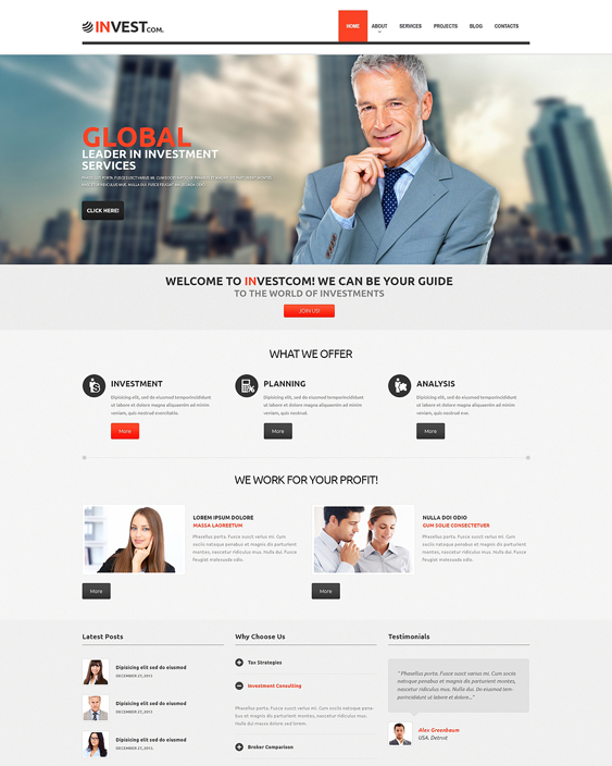 investment company financial wordpress themes