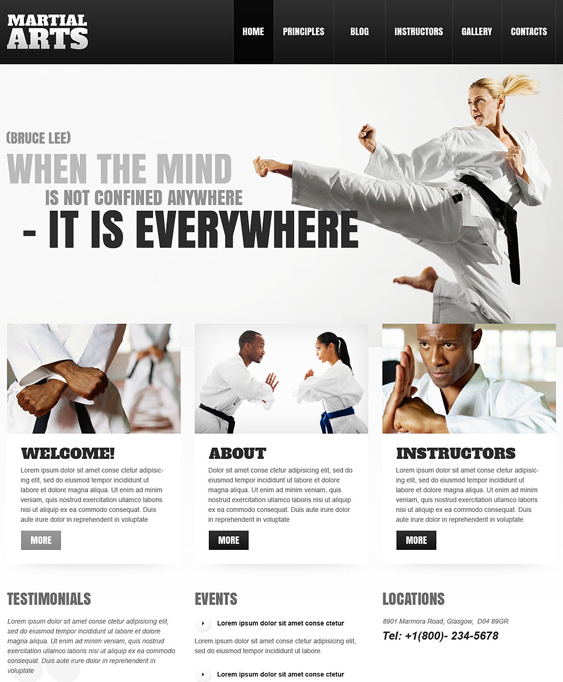 martial sports wordpress themes