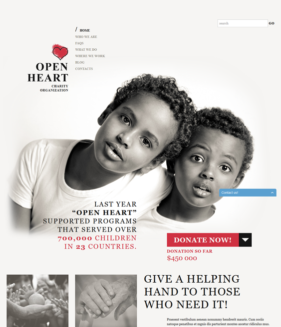world nonprofit charity wordpress theme