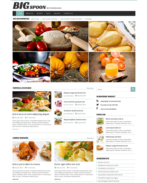 cooking responsive food recipe wordpress themes
