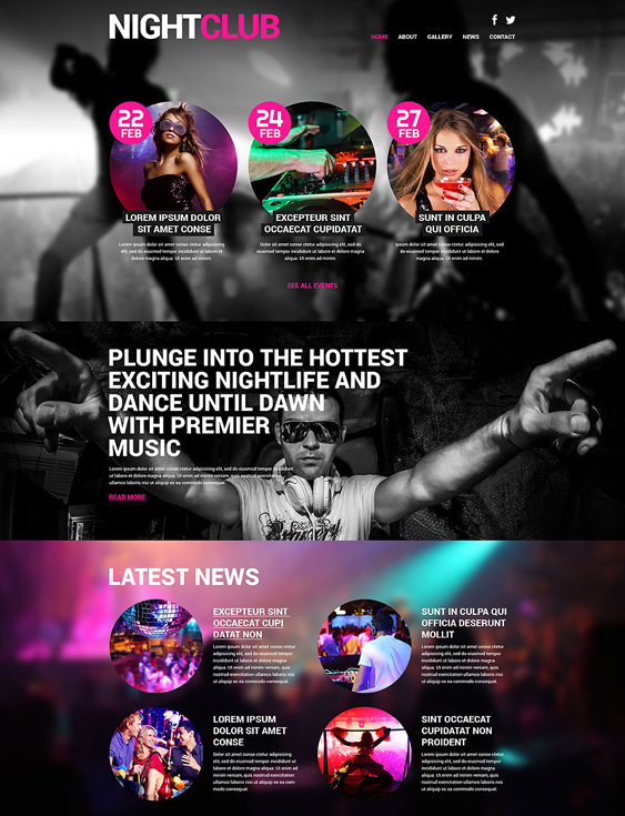 night wordpress themes for clubs 2