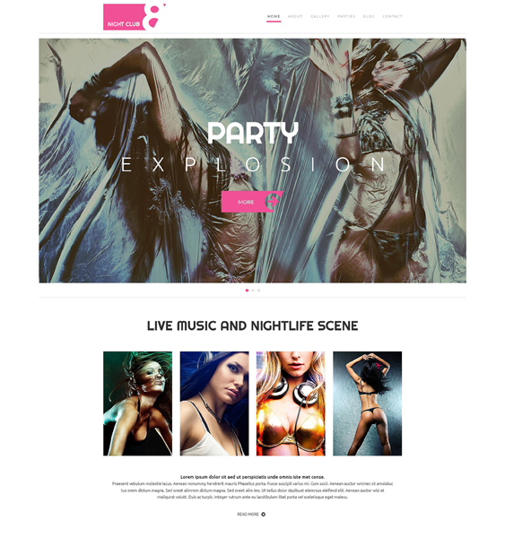 night wordpress themes for clubs 3