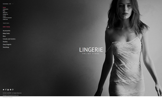 lingerie best minimal shopify themes
