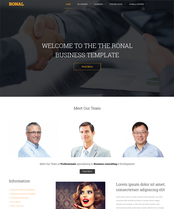 ronal business drupal themes