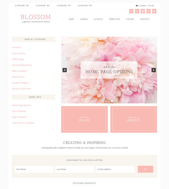 blossom feminine wordpress themes