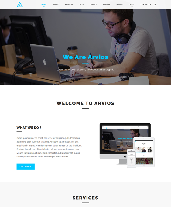 arvios business drupal themes