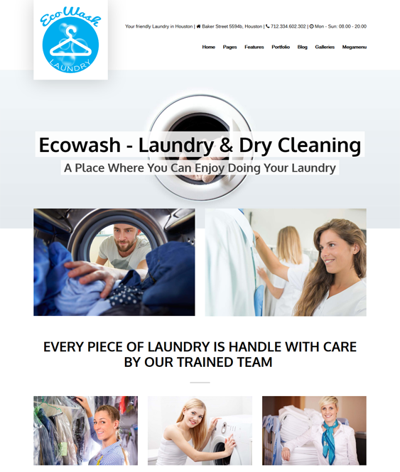 ecowash cleaning company wordpress themes