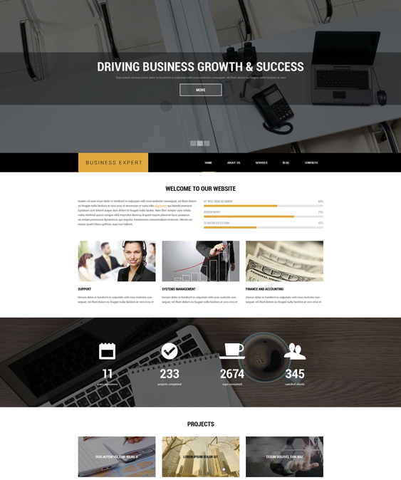 professional business drupal themes