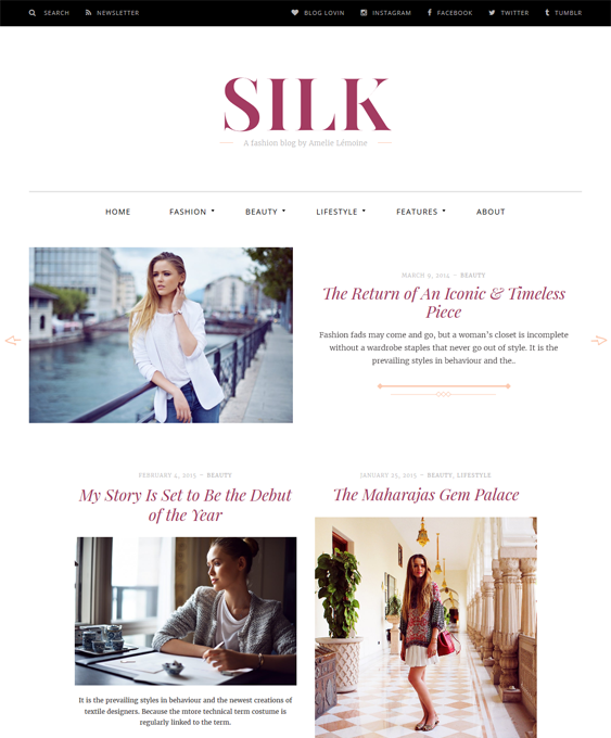 silk fashion blog wordpress themes