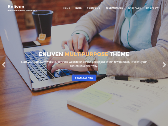 enliven free business wordpress themes