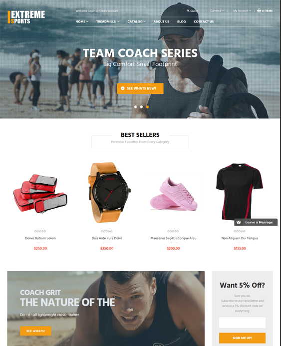 extremely responsive shopify themes