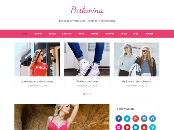 pashmina free feminine wordpress themes
