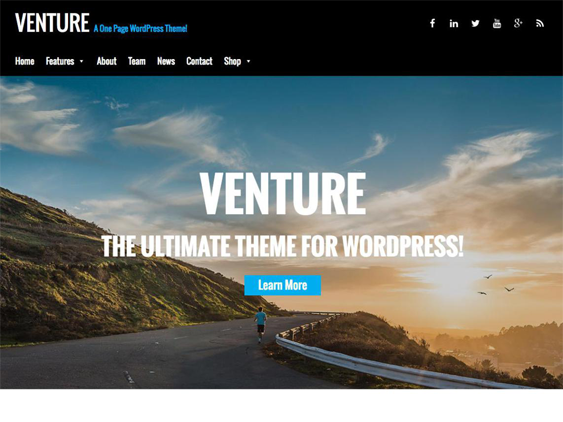 venture free business wordpress themes
