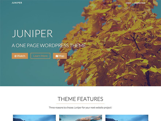 juniper free parallax wordpress themes