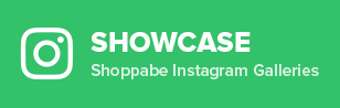 showcase instagram shopify plugins