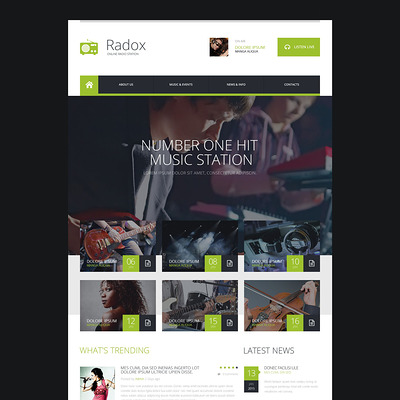 Radio Website Responsive Website Template (Bootstrap template for music websites) Item Picture