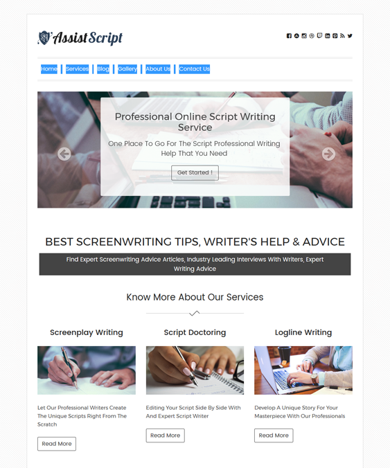 assistscript writer author wordpress themes