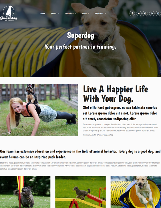 superdog education wordpress theme