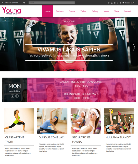 young gym fitness wordpress themes