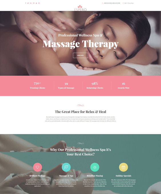 espero wordpress themes massage therapist masseur