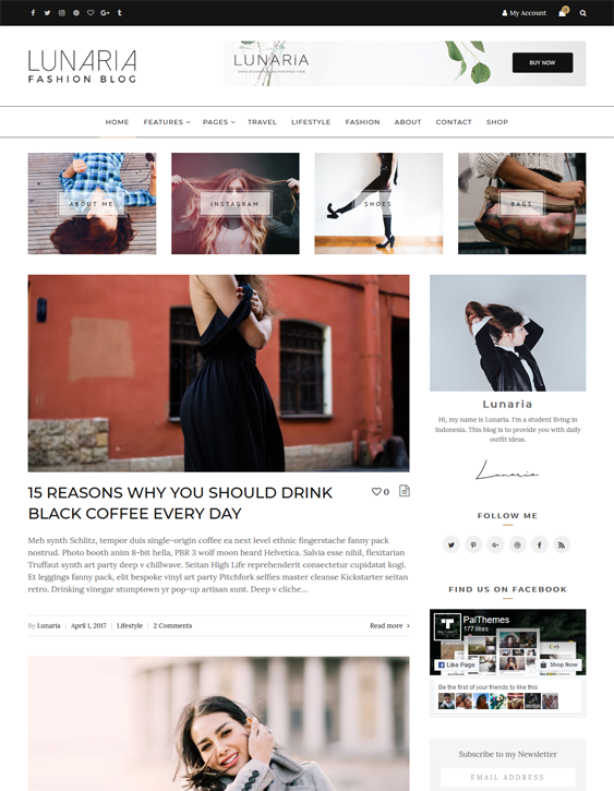 lunaria wordpress themes fashion blogs