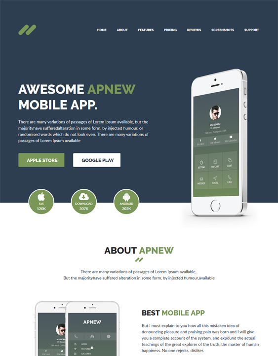 wordpress themes promoting apps