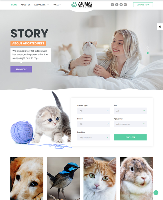 charity nonprofit bootstrap website templates