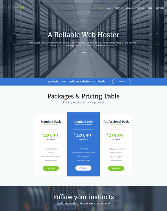 web hosting wordpress themes