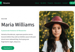 WordPress Themes For CV And Resume Websites feature