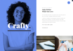 WordPress Themes For Writers And Authors feature