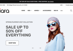 BigCommerce Themes For Selling Fashion Accessories For Men And Women feature