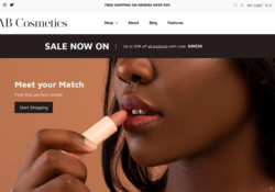 Beauty Shopify Themes For Selling Cosmetics, Makeup, And Skincare feature