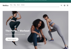 sports fitness shopify themes feature